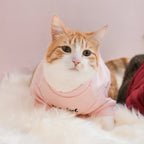 Spoiled Mock Neck Shirt | Blush 10 - MiniPaw Luxe