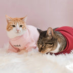Spoiled Mock Neck Shirt | Blush 12 - MiniPaw Luxe