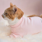 Spoiled Mock Neck Shirt | Blush 14 - MiniPaw Luxe