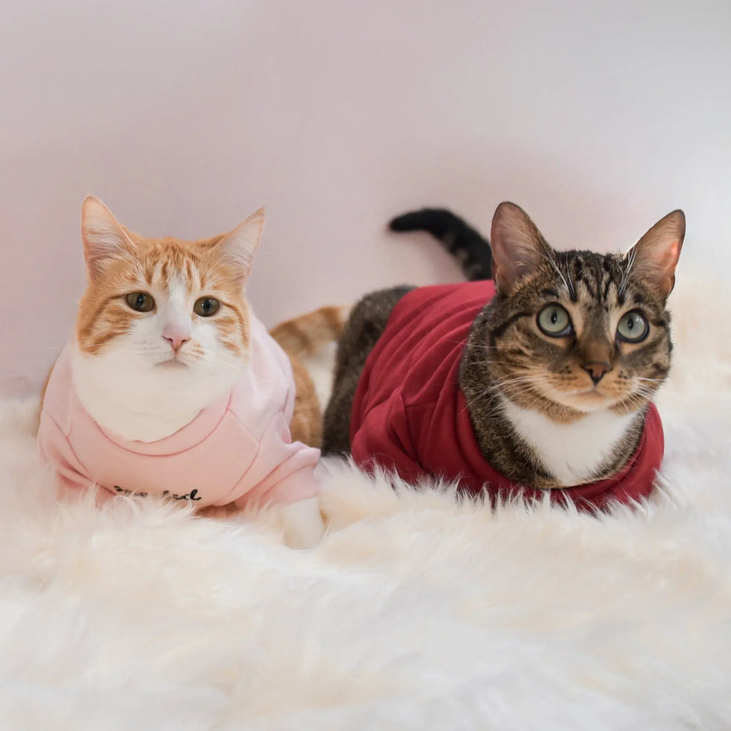 Spoiled Mock Neck Shirt | Blush 17 - MiniPaw Luxe