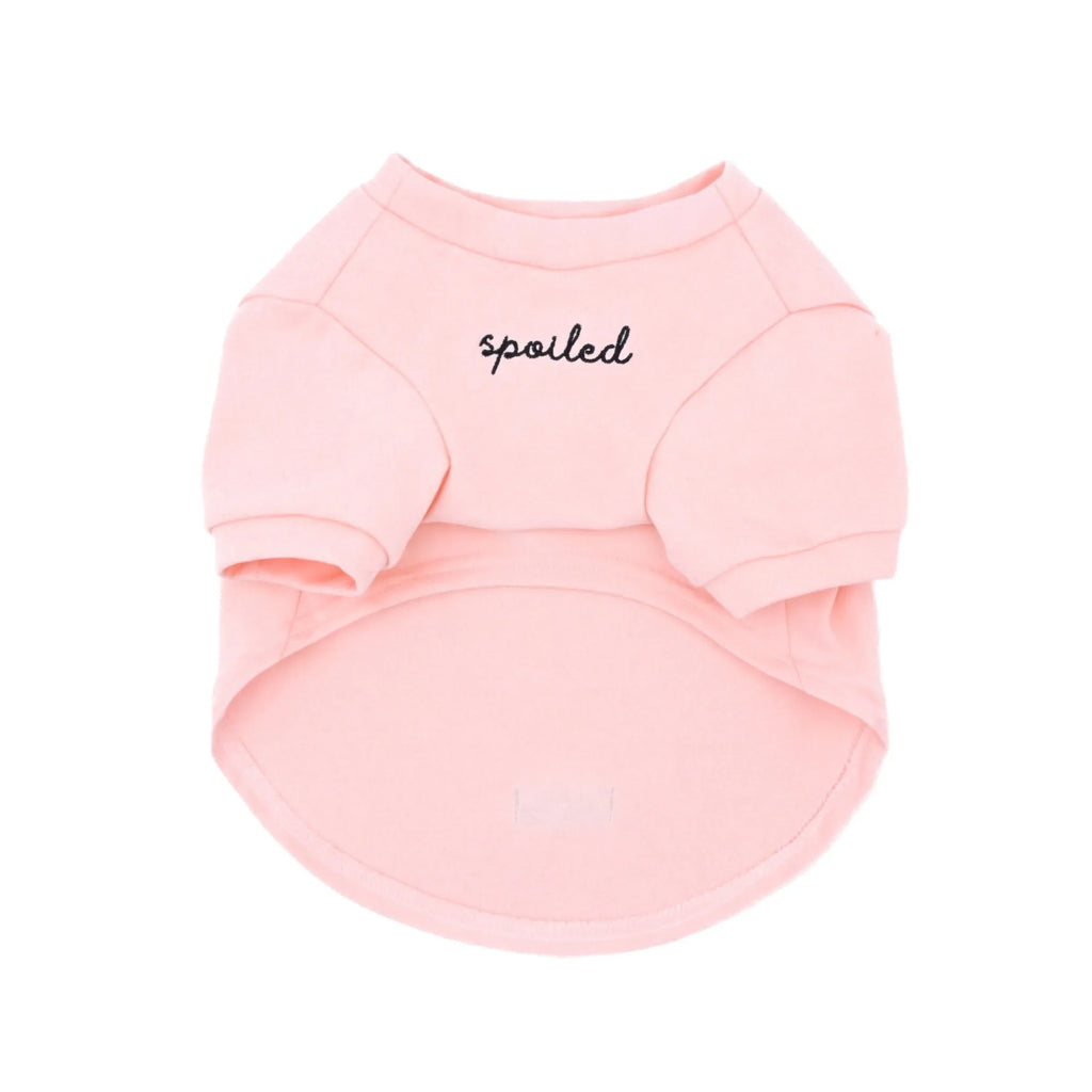 Spoiled Mock Neck Shirt | Blush 1 - MiniPaw Luxe