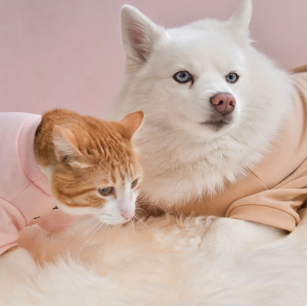 Spoiled Mock Neck Shirt | Blush 2 - MiniPaw Luxe