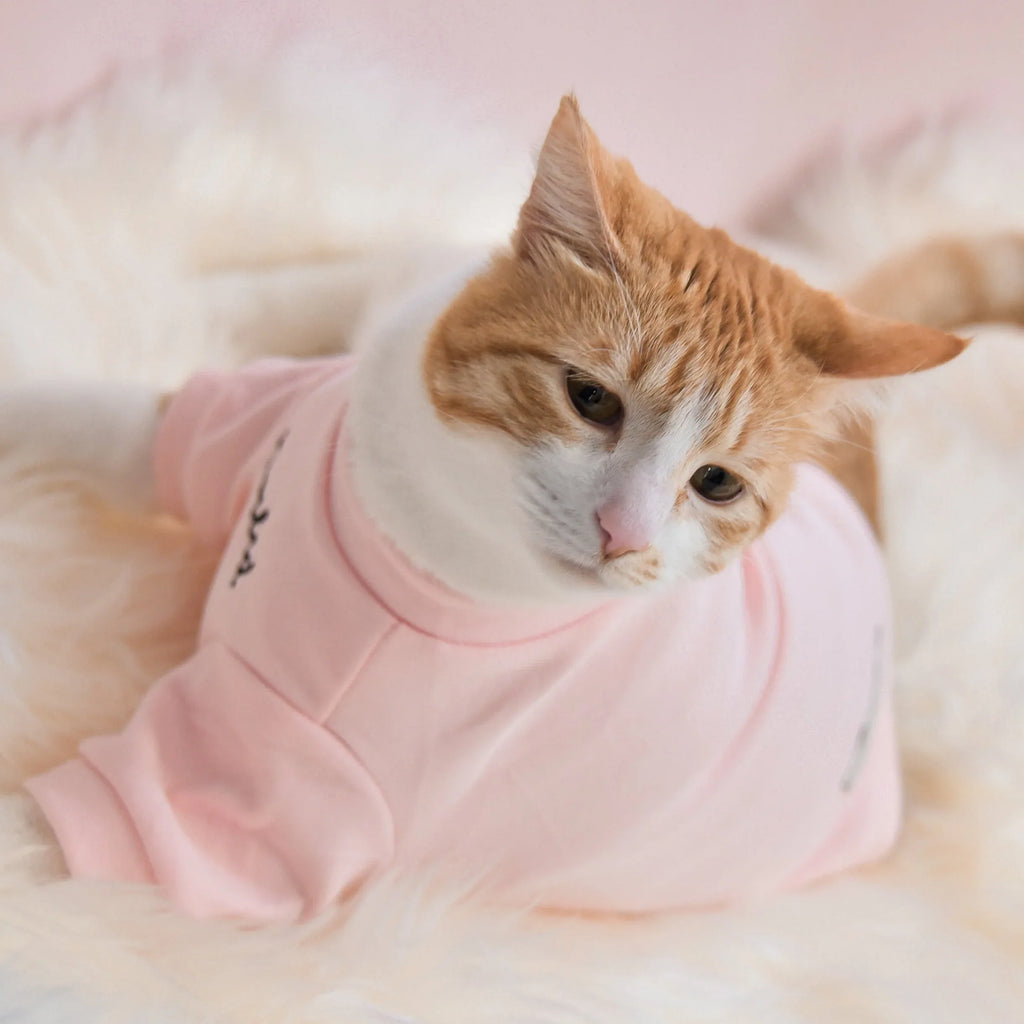 Spoiled Mock Neck Shirt | Blush 6 - MiniPaw Luxe