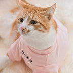 Spoiled Mock Neck Shirt | Blush 7 - MiniPaw Luxe