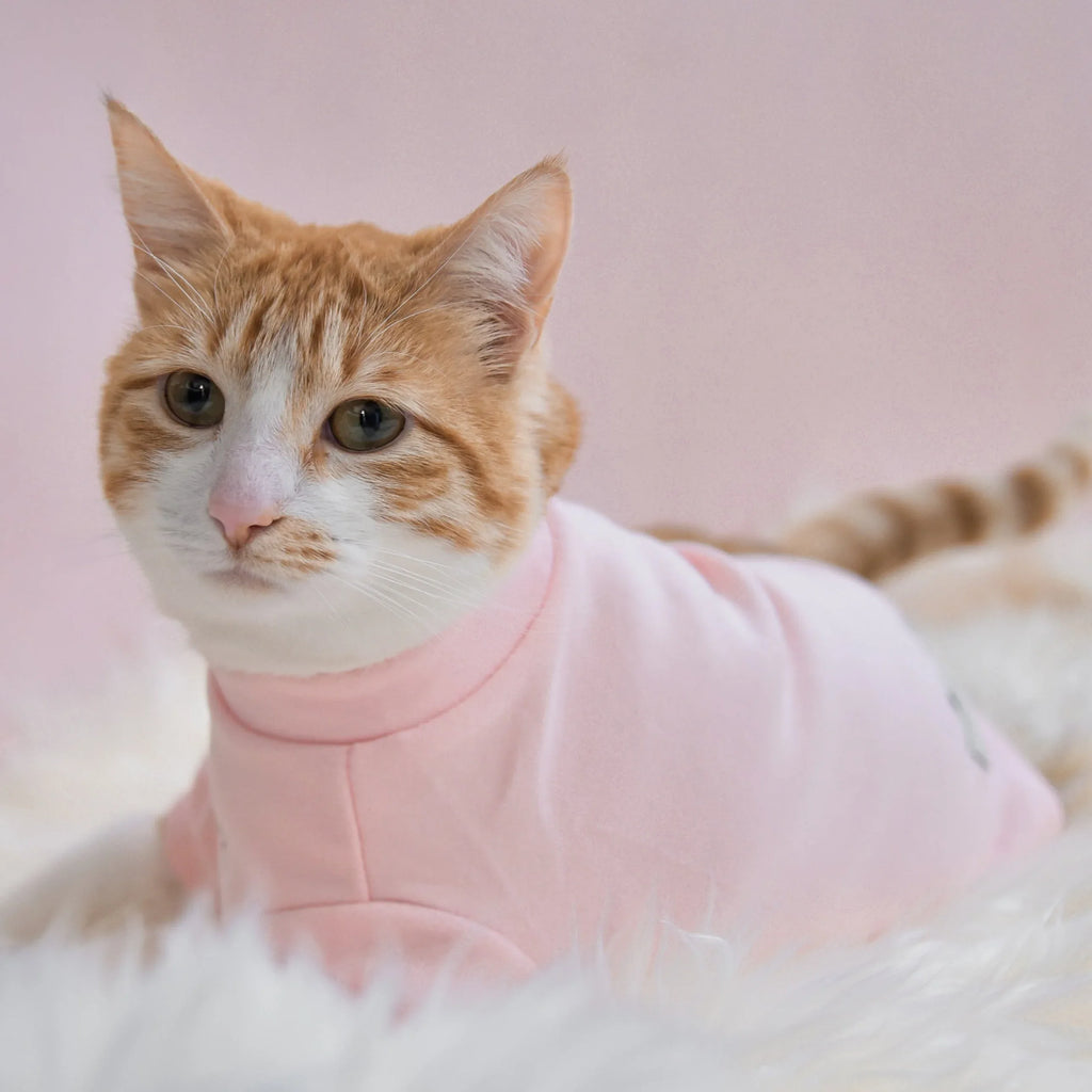 Spoiled Mock Neck Shirt | Blush 8 - MiniPaw Luxe