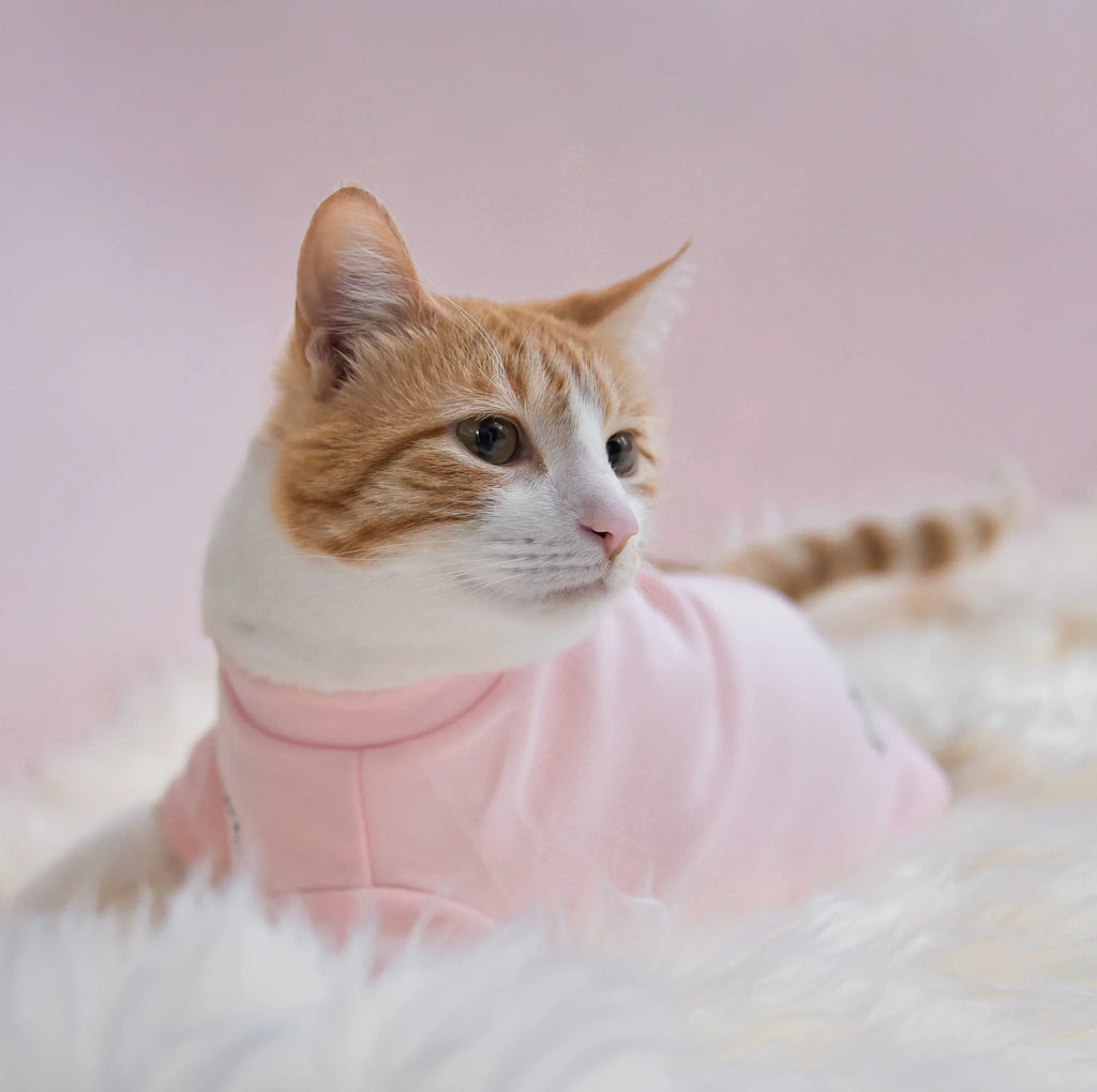 Spoiled Mock Neck Shirt | Blush 9 - MiniPaw Luxe