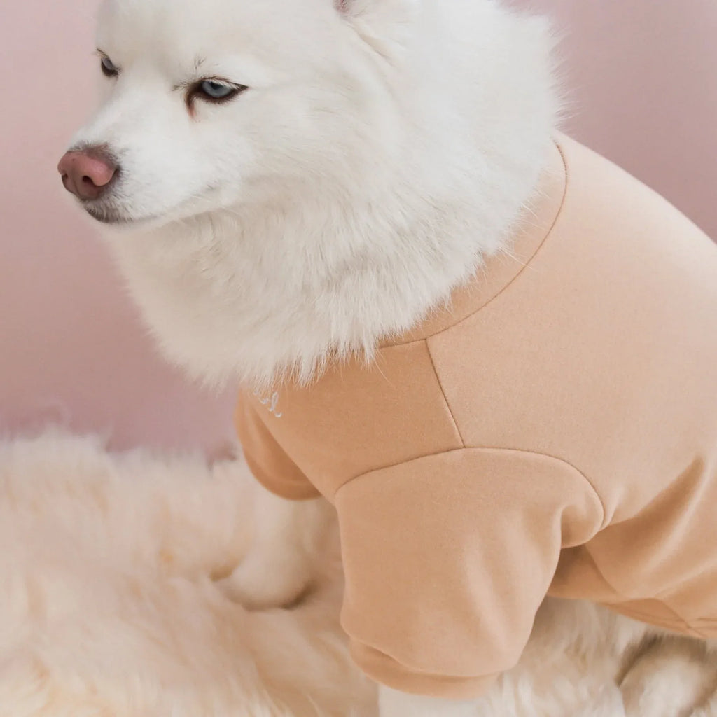 Spoiled Mock Neck Shirt | Latte 10 - MiniPaw Luxe