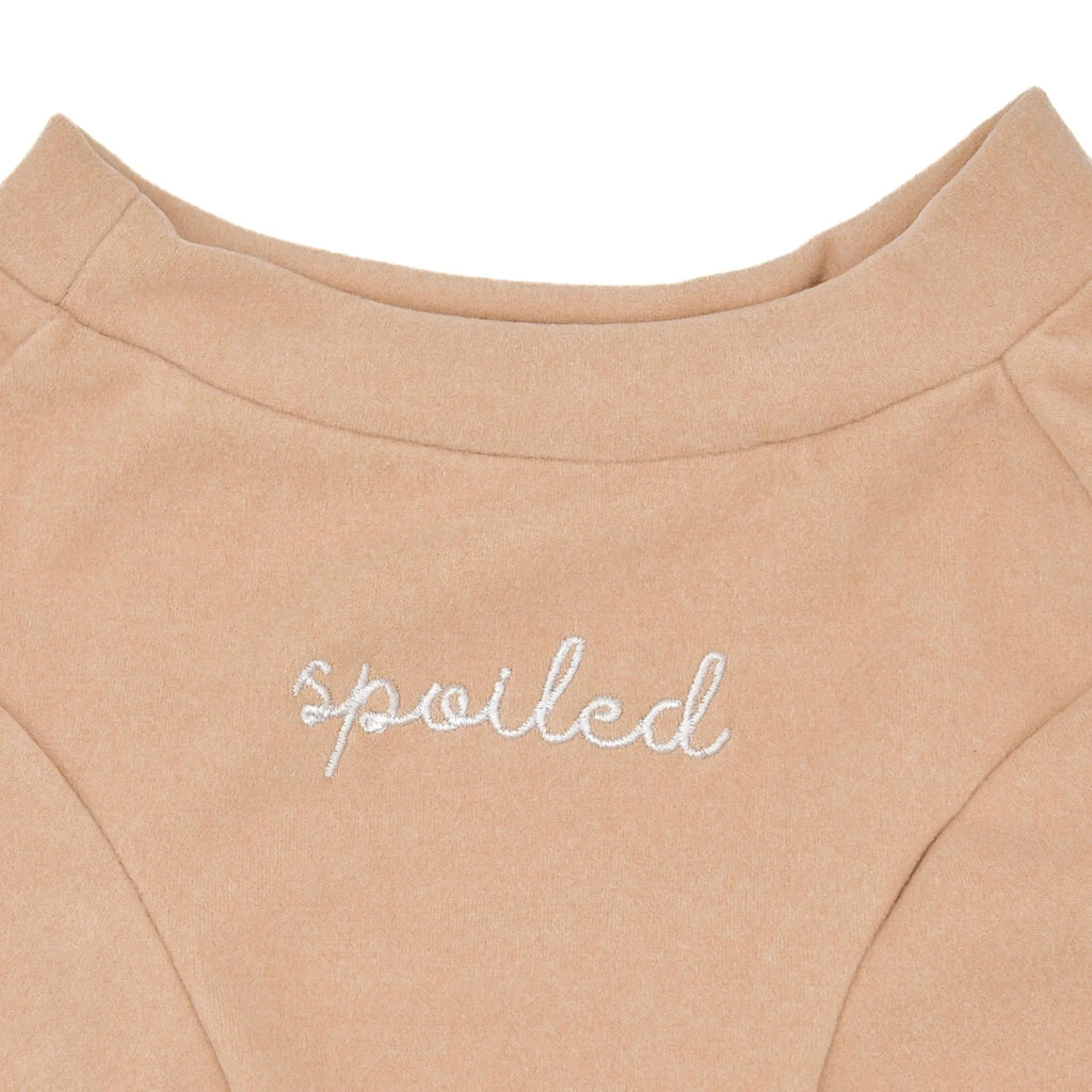 Spoiled Mock Neck Shirt | Latte 3 - MiniPaw Luxe