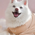 Spoiled Mock Neck Shirt | Latte 6 - MiniPaw Luxe