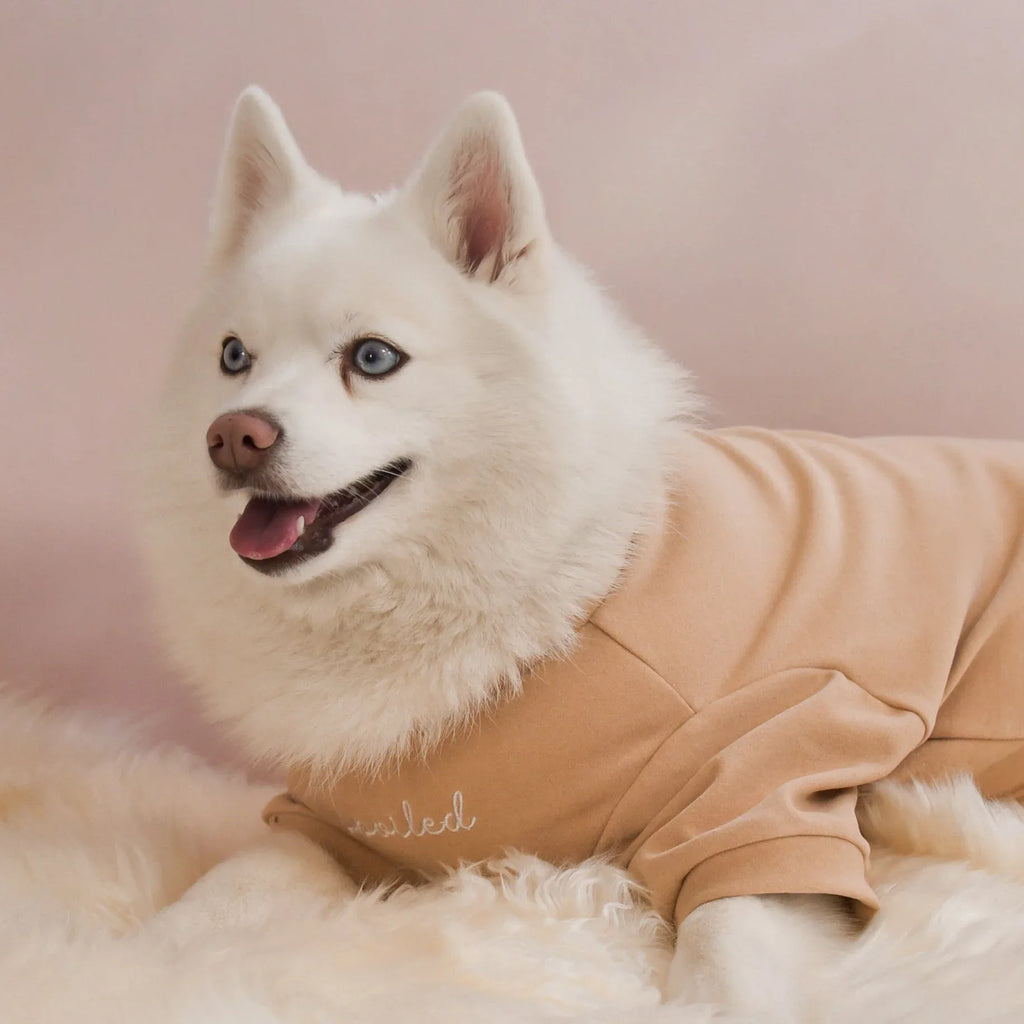 Spoiled Mock Neck Shirt | Latte 8 - MiniPaw Luxe