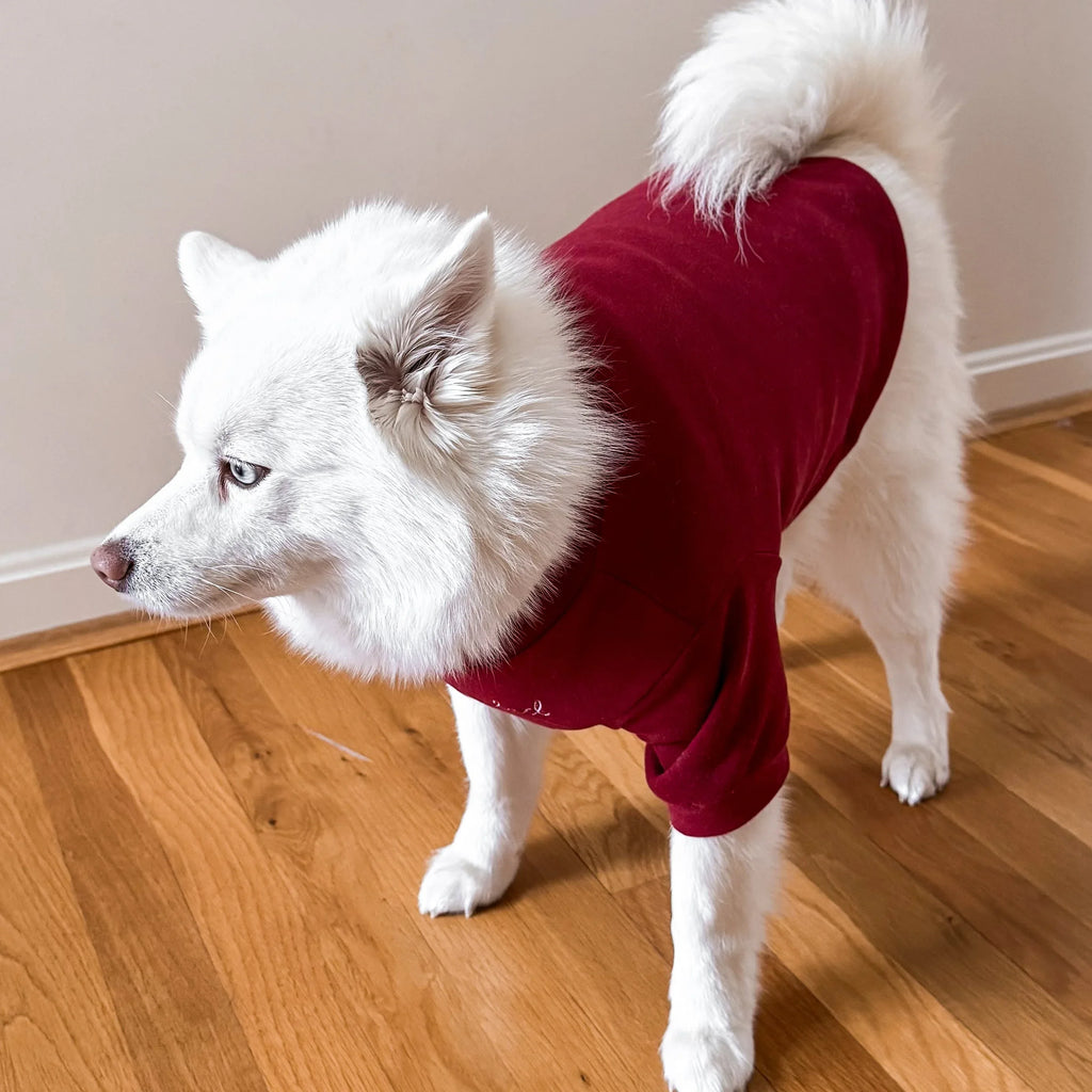 Spoiled Mock Neck Shirt | Lucky 10 - MiniPaw Luxe