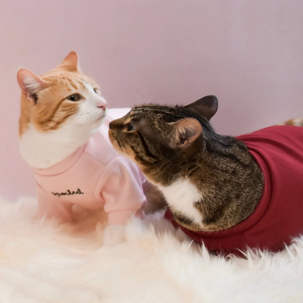 Spoiled Mock Neck Shirt | Lucky 13 - MiniPaw Luxe