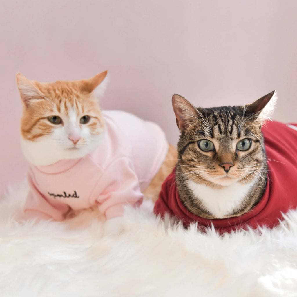Spoiled Mock Neck Shirt | Lucky 14 - MiniPaw Luxe
