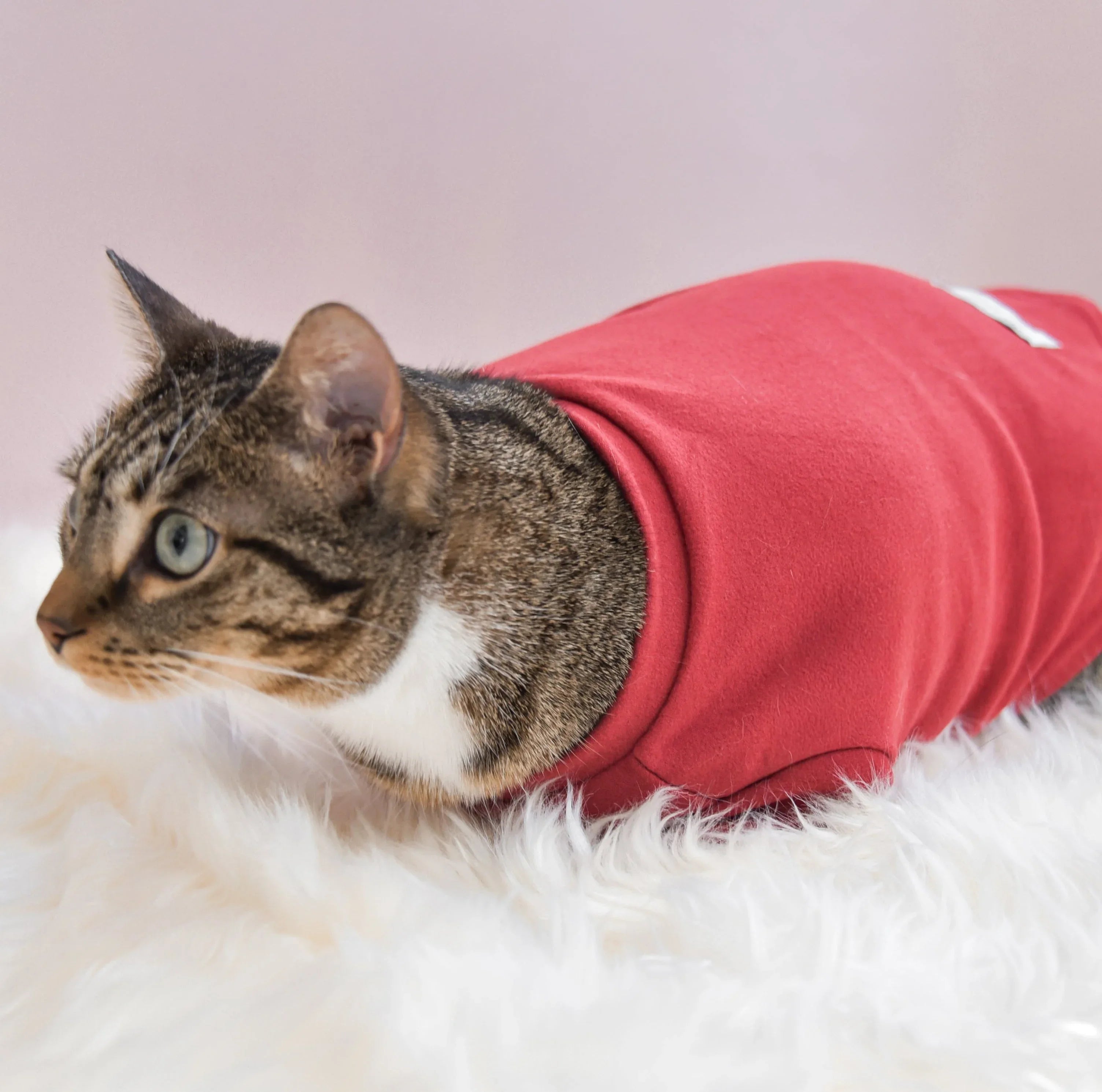 Spoiled Mock Neck Shirt | Lucky 17 - MiniPaw Luxe