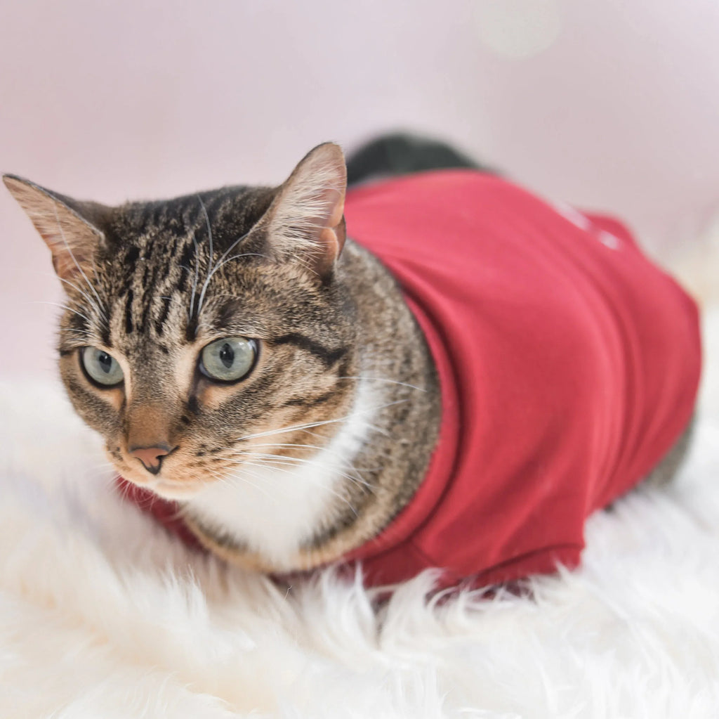 Spoiled Mock Neck Shirt | Lucky 19 - MiniPaw Luxe