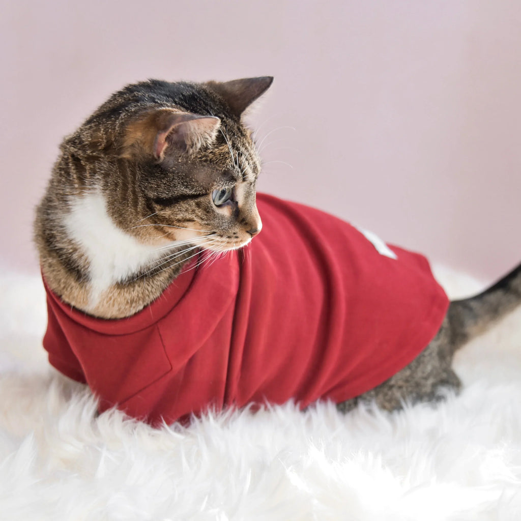 Spoiled Mock Neck Shirt | Lucky 20 - MiniPaw Luxe