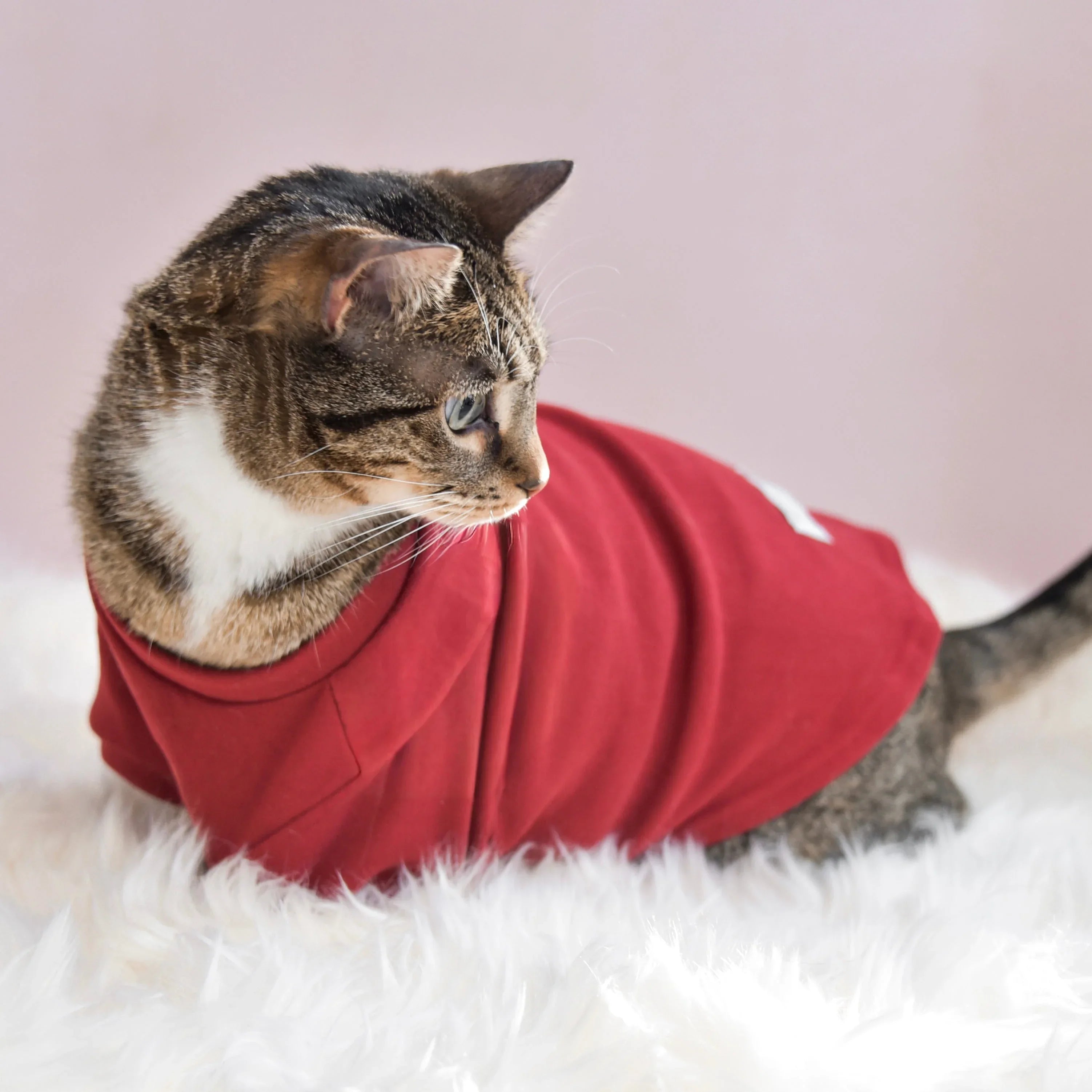 Spoiled Mock Neck Shirt | Lucky 20 - MiniPaw Luxe