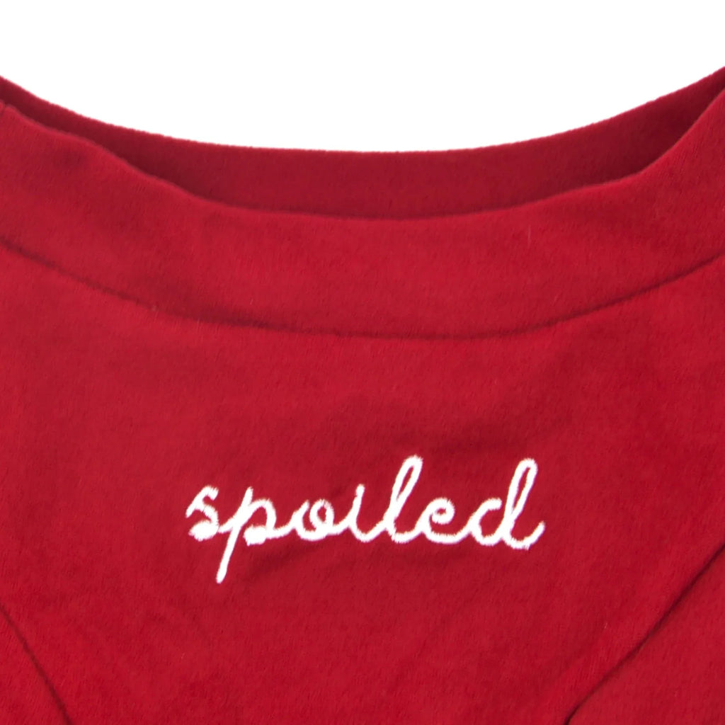 Spoiled Mock Neck Shirt | Lucky 3 - MiniPaw Luxe