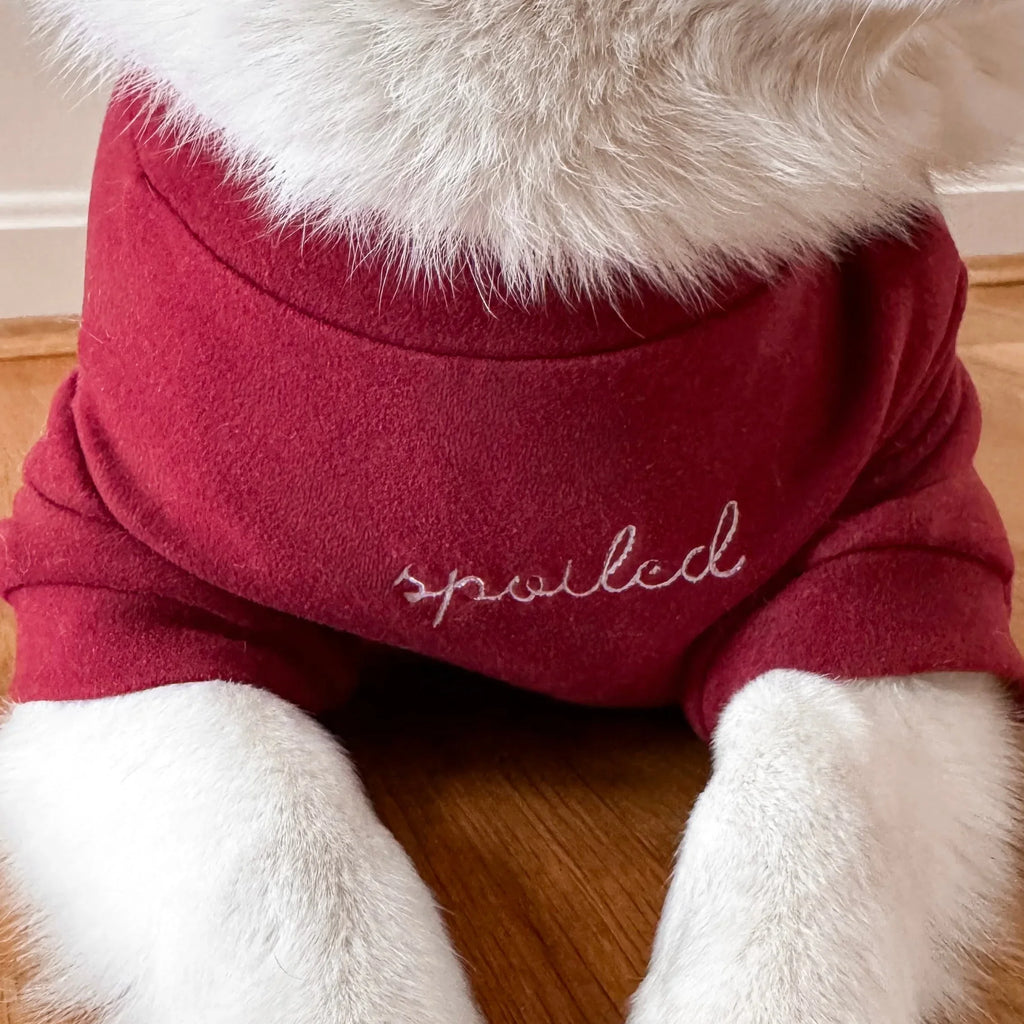Spoiled Mock Neck Shirt | Lucky 6 - MiniPaw Luxe