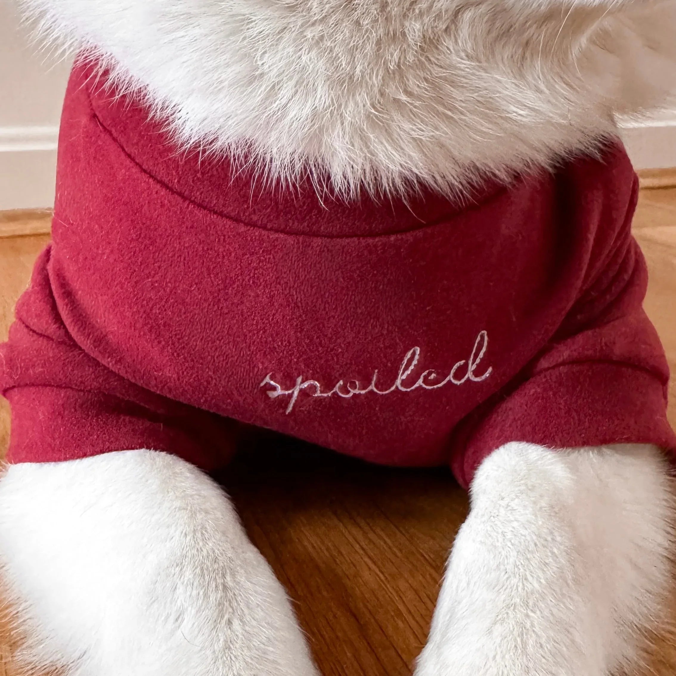 Spoiled Mock Neck Shirt | Lucky 6 - MiniPaw Luxe