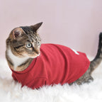 Spoiled Mock Neck Shirt | Lucky 7 - MiniPaw Luxe