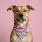 Spring Flower Dog Bandana 2 - MiniPaw Luxe