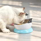 Stainless Steel Elevated Angled Cat Bowl 5 - MiniPaw Luxe