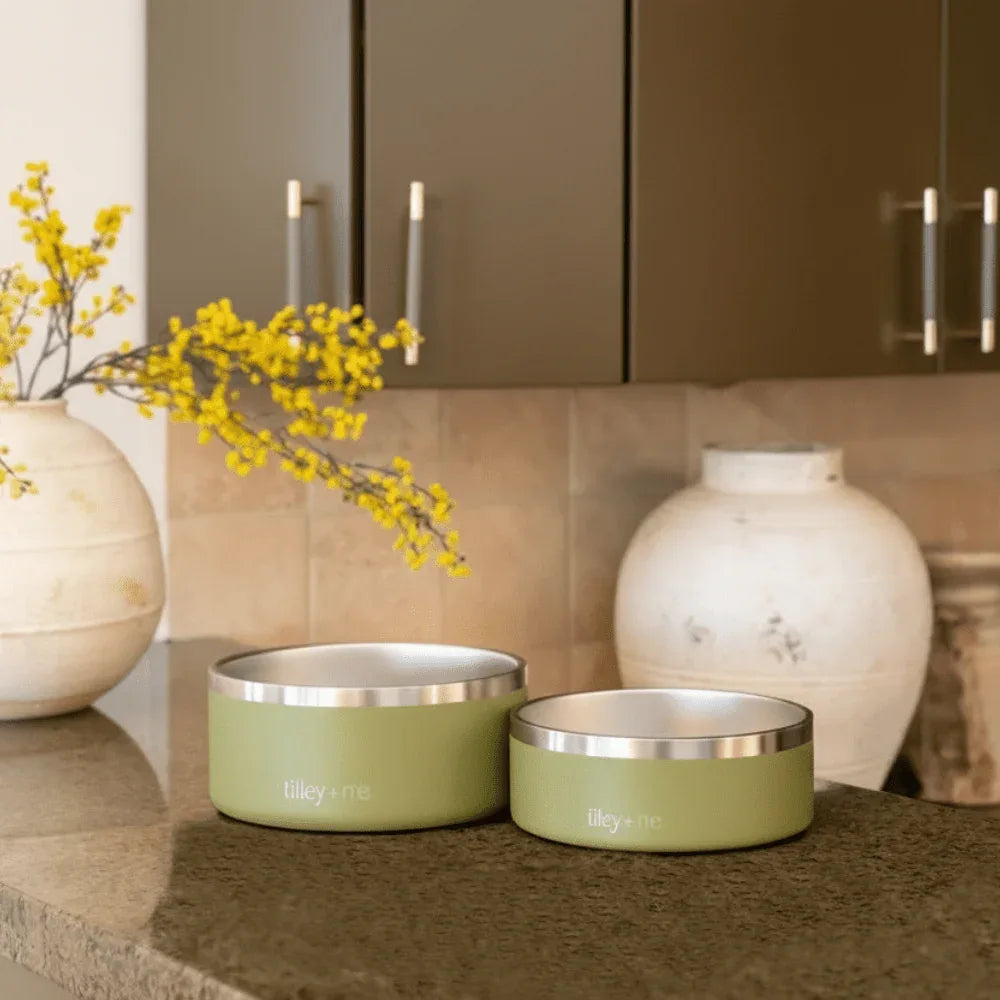 Stainless Steel Pet Bowl – Non-Slip, Durable & Dishwasher Safe | Tilley + Me 10 - MiniPaw Luxe