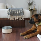 Stainless Steel Pet Bowl – Non-Slip, Durable & Dishwasher Safe | Tilley + Me 18 - MiniPaw Luxe