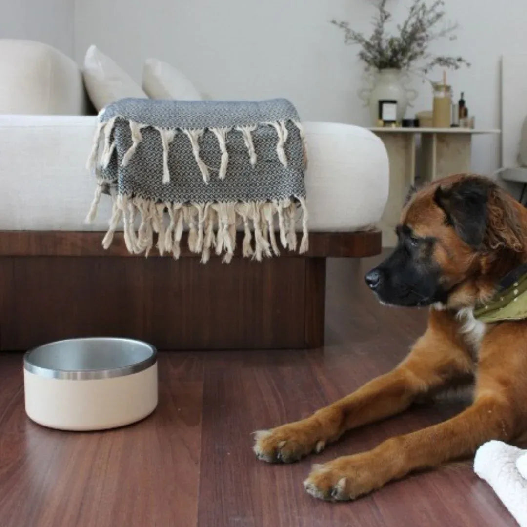 Stainless Steel Pet Bowl – Non-Slip, Durable & Dishwasher Safe | Tilley + Me 18 - MiniPaw Luxe