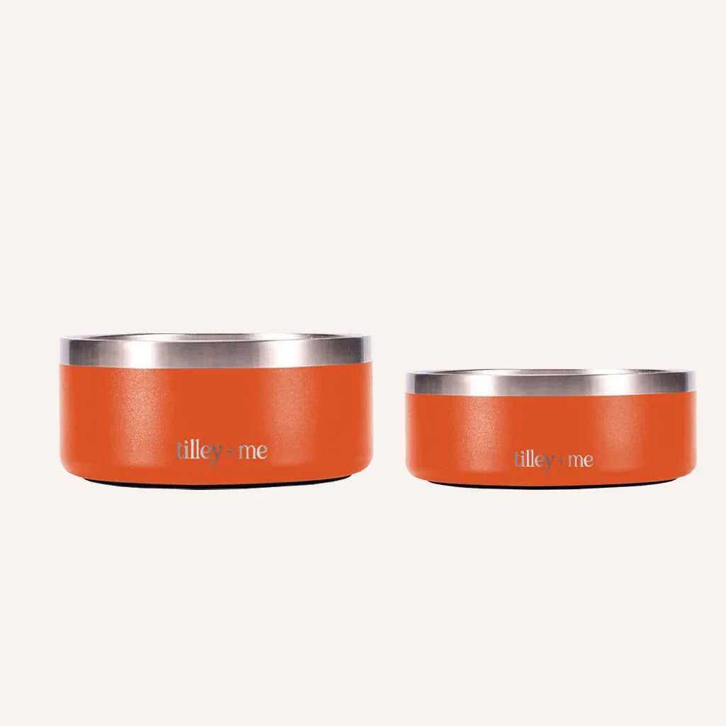 Stainless Steel Pet Bowl – Non-Slip, Durable & Dishwasher Safe | Tilley + Me 20 - MiniPaw Luxe
