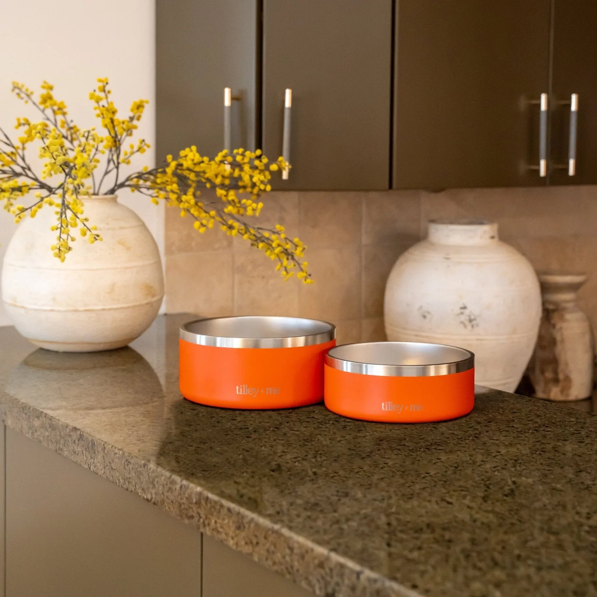Stainless Steel Pet Bowl – Non-Slip, Durable & Dishwasher Safe | Tilley + Me 21 - MiniPaw Luxe
