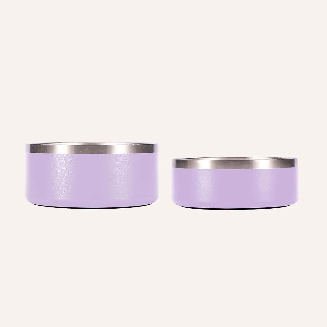 Stainless Steel Pet Bowl – Non-Slip, Durable & Dishwasher Safe | Tilley + Me 25 - MiniPaw Luxe