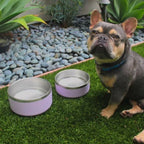 Stainless Steel Pet Bowl – Non-Slip, Durable & Dishwasher Safe | Tilley + Me 26 - MiniPaw Luxe