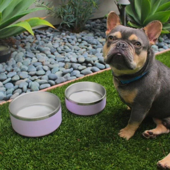 Stainless Steel Pet Bowl – Non-Slip, Durable & Dishwasher Safe | Tilley + Me 26 - MiniPaw Luxe