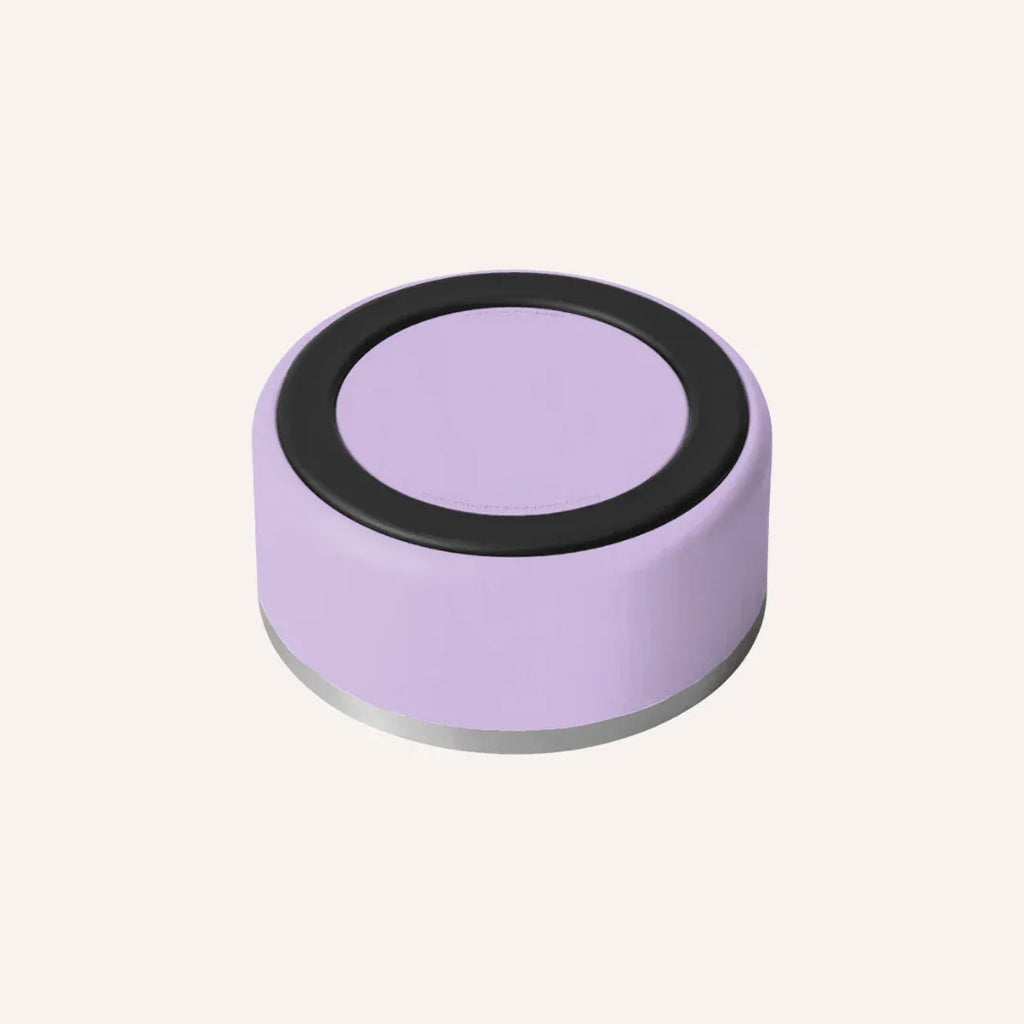 Stainless Steel Pet Bowl – Non-Slip, Durable & Dishwasher Safe | Tilley + Me 27 - MiniPaw Luxe