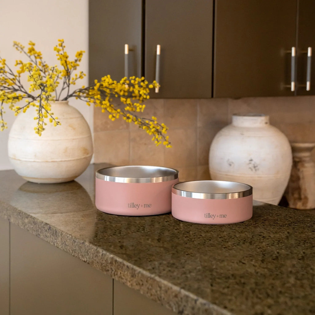 Stainless Steel Pet Bowl – Non-Slip, Durable & Dishwasher Safe | Tilley + Me 3 - MiniPaw Luxe
