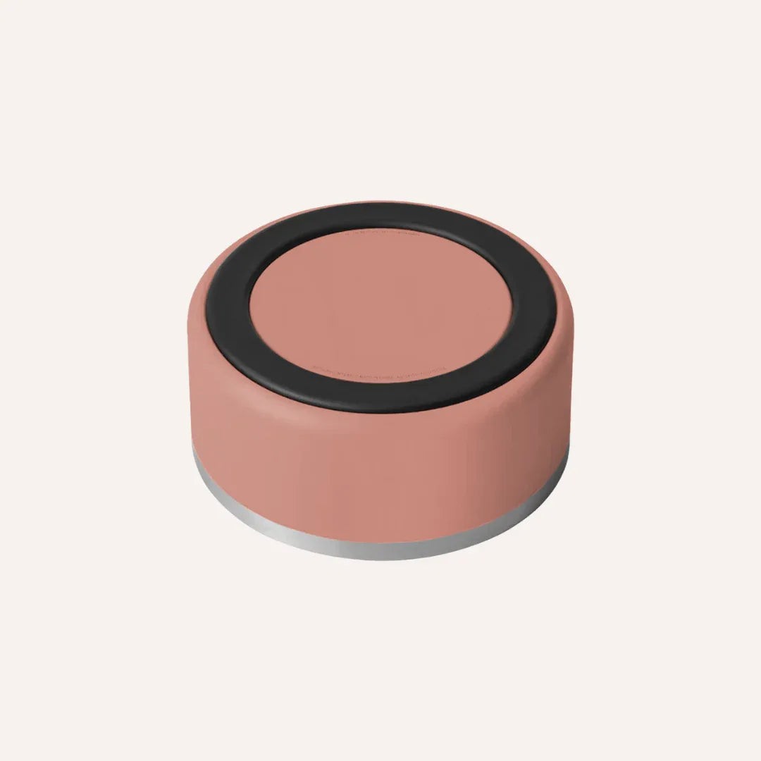 Stainless Steel Pet Bowl – Non-Slip, Durable & Dishwasher Safe | Tilley + Me 5 - MiniPaw Luxe