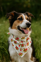 Strawberry Dog Bandana 2 - MiniPaw Luxe