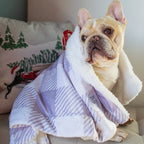 Sugar Plum Dog Blanket 5 - MiniPaw Luxe