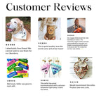 Sunshine Dog Bandana 12 - MiniPaw Luxe