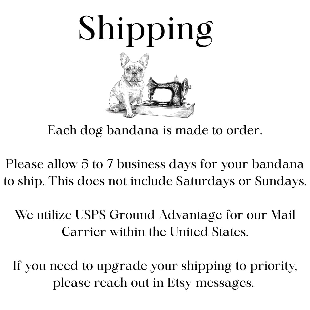 Sunshine Dog Bandana 9 - MiniPaw Luxe