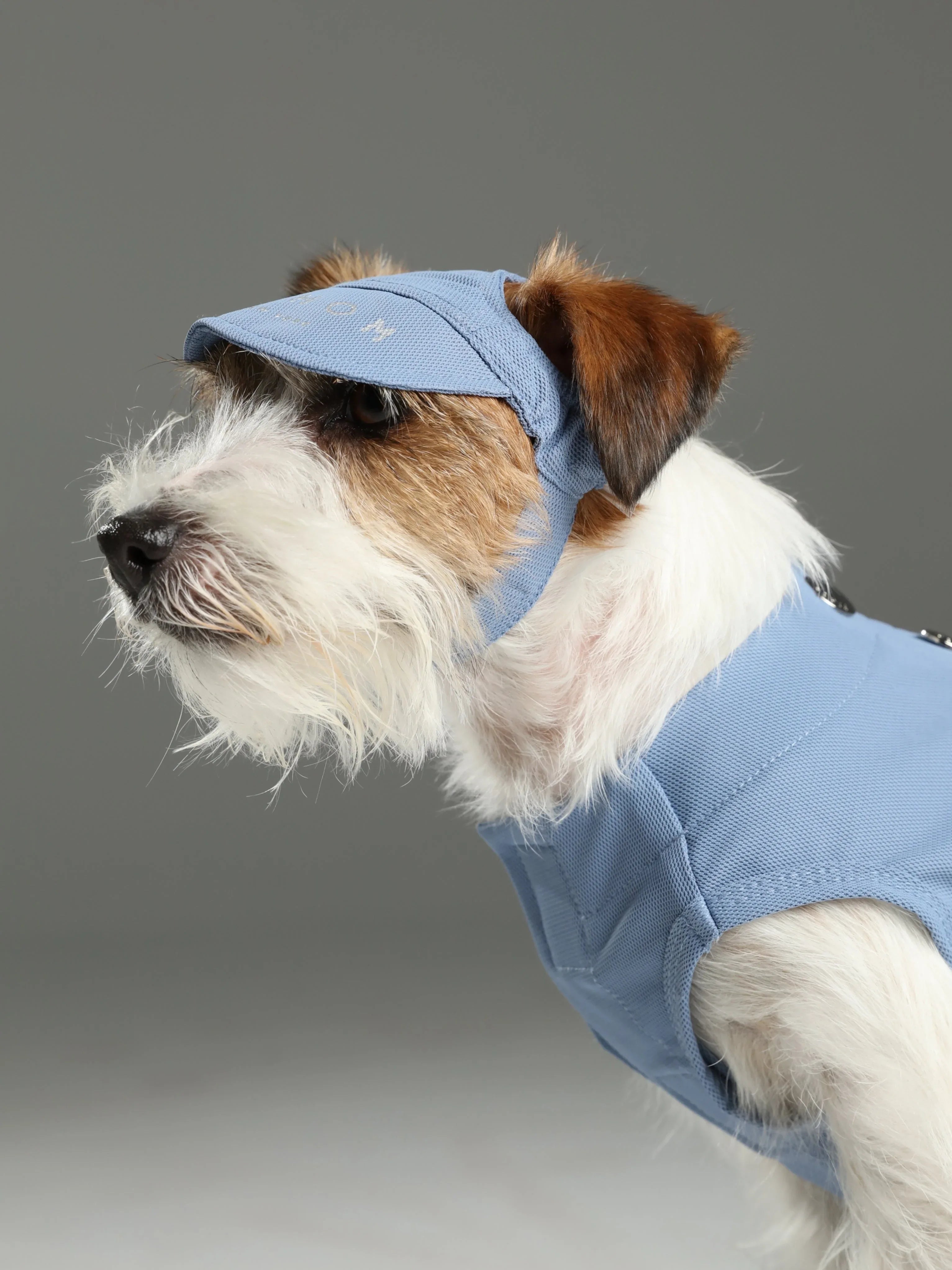 TENNIS HAT | Blue 1 - MiniPaw Luxe