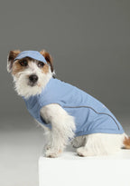 TENNIS HAT | Blue 3 - MiniPaw Luxe