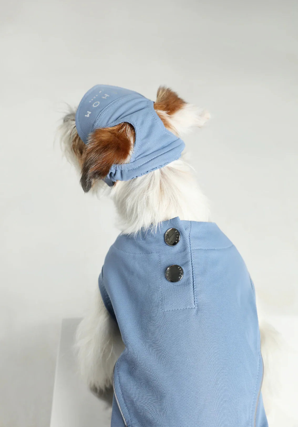 TENNIS HAT | Blue 4 - MiniPaw Luxe