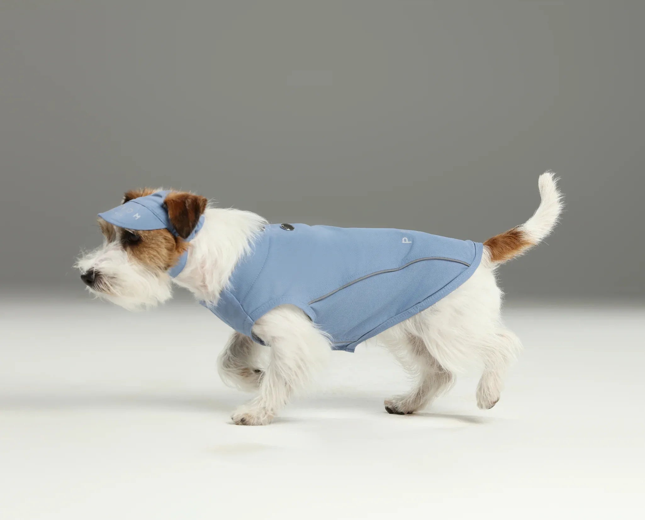 TENNIS HAT | Blue 5 - MiniPaw Luxe