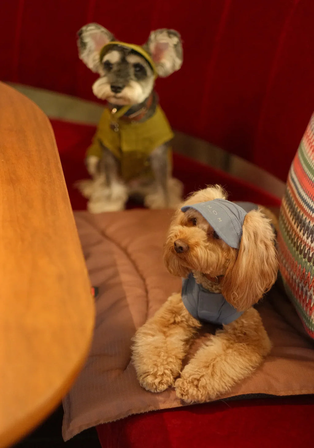 TENNIS HAT | Blue 9 - MiniPaw Luxe