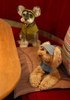 TENNIS HAT | Green 11 - MiniPaw Luxe