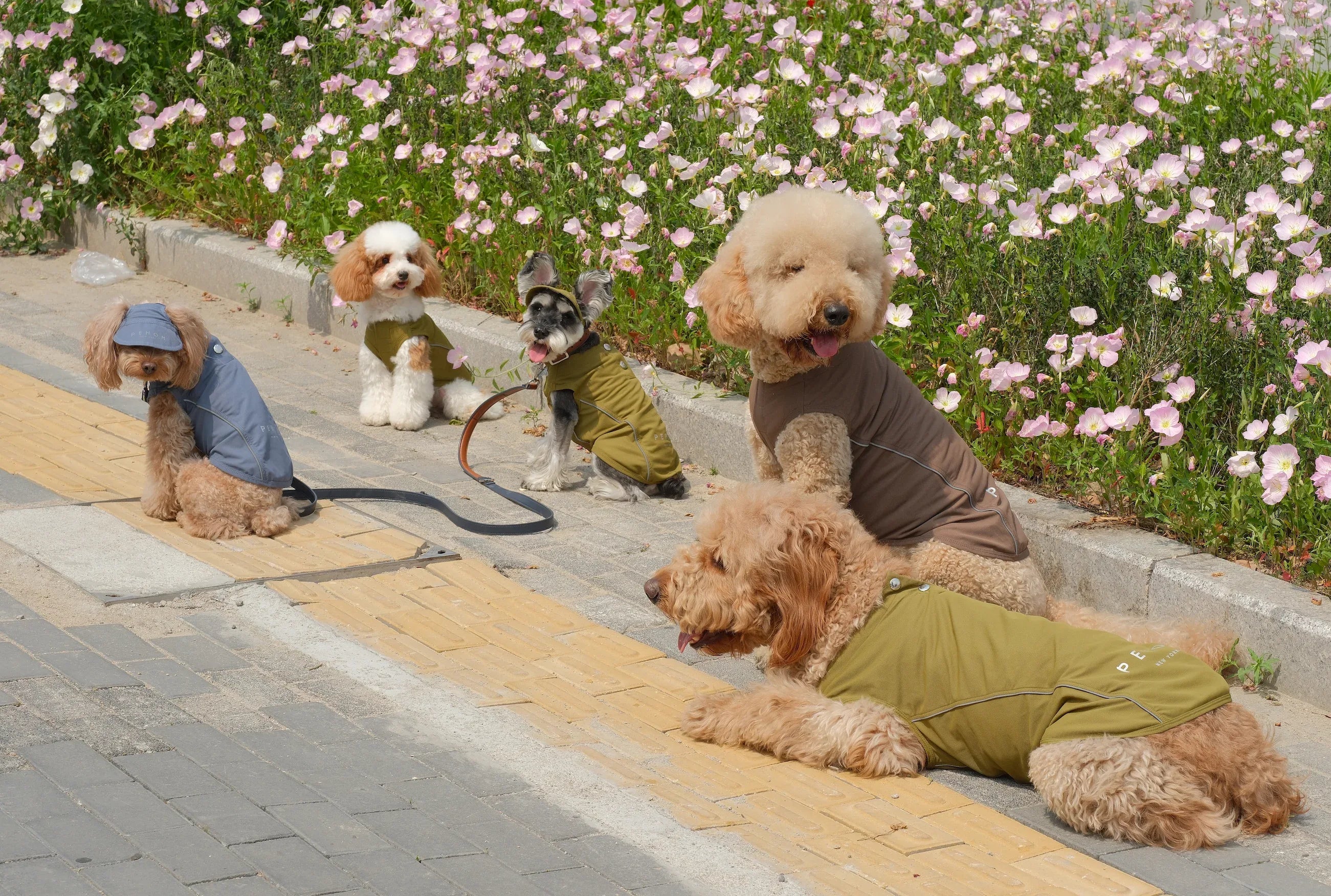 TENNIS HAT | Green 12 - MiniPaw Luxe