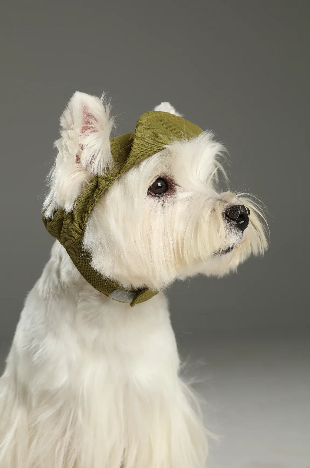 TENNIS HAT | Green 2 - MiniPaw Luxe